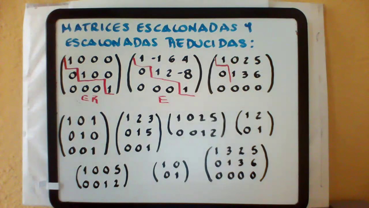 Matrices Escalonadas y Escalonadas Reducidas