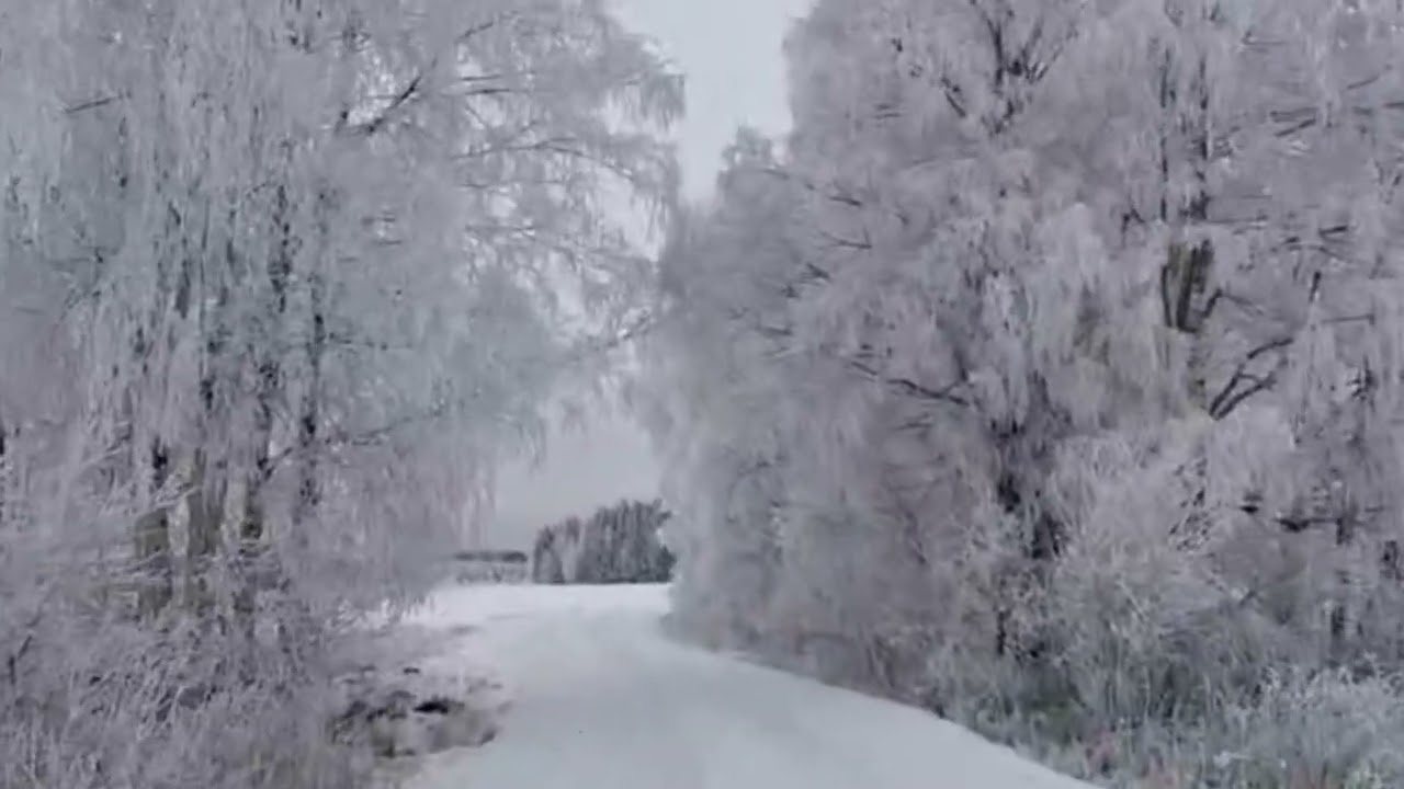 Kävelyä tammikuussa
