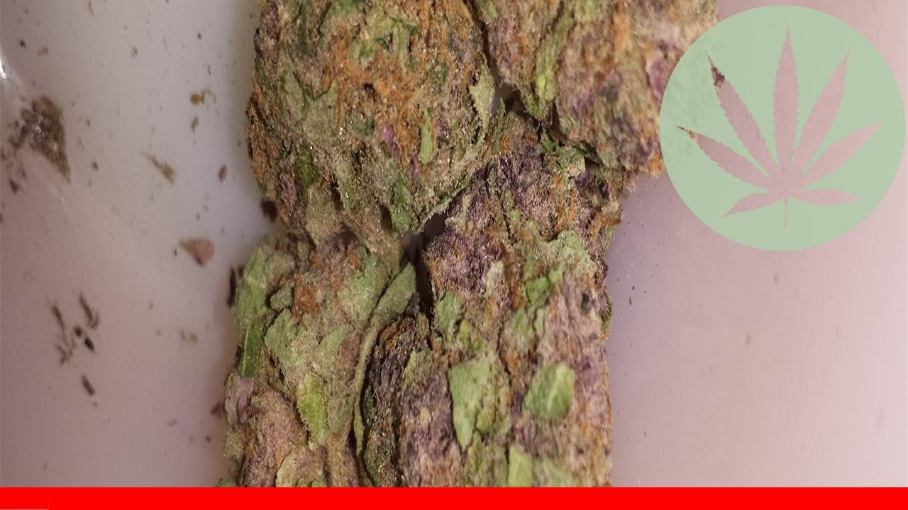 Super Sour Diesel - All About This Strain