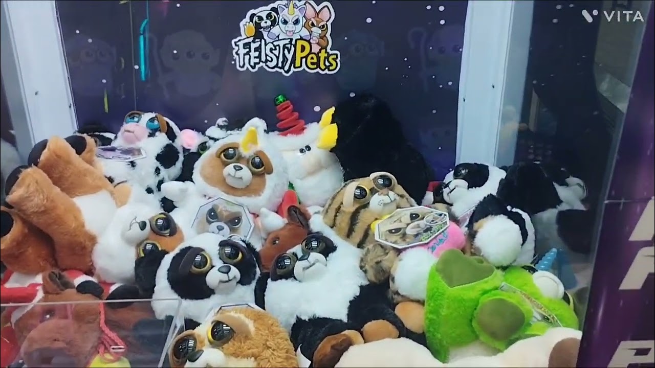 Olhem essa máquina! Capturamos um Feisty Preguiça 🦥#feisty