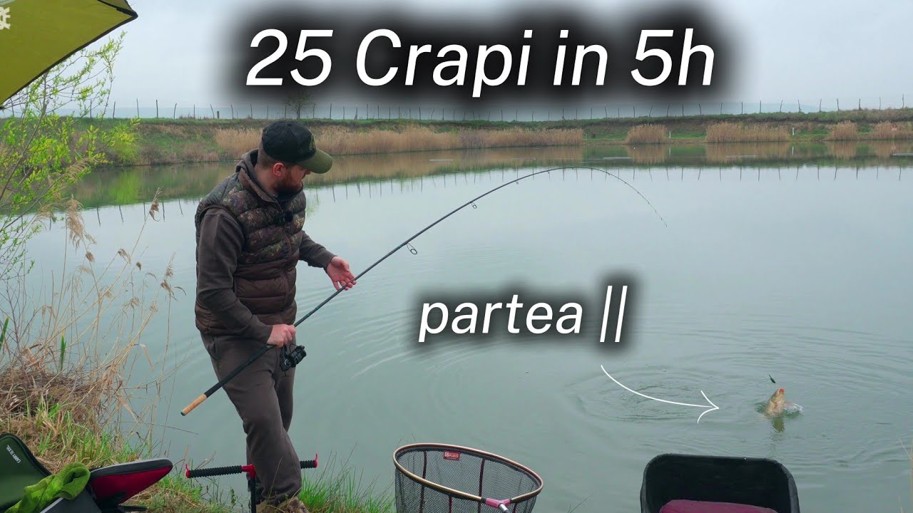 Partidă TOP la feeder cu doar jumate Kg de nadă ,  la tehnica method feeder 🎣 #fishing