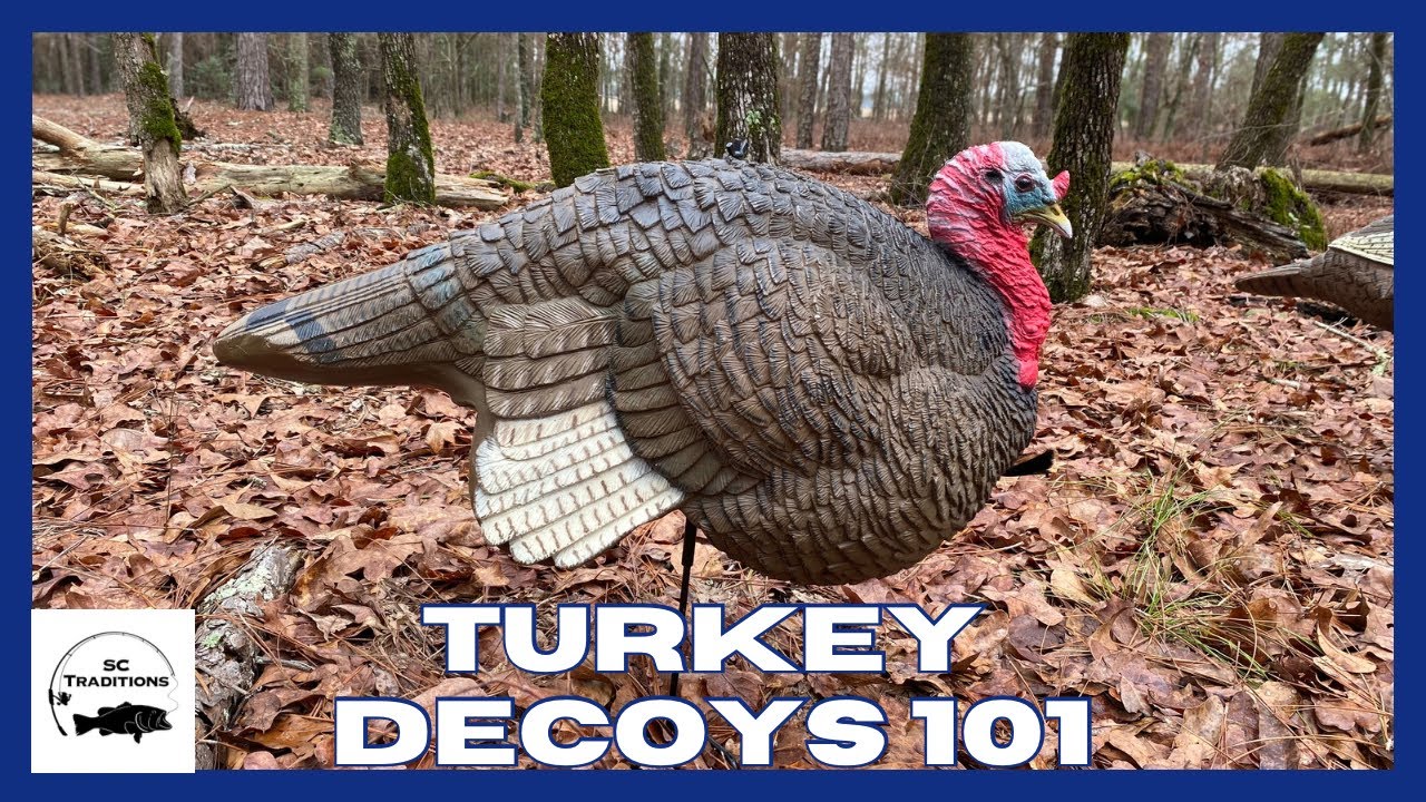 Turkey Decoys 101 {GUIDE}