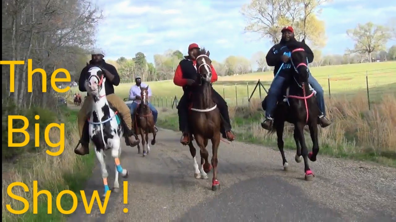 В Лисбурге стартует забег Northeast Texas Trail Ride 2024 года