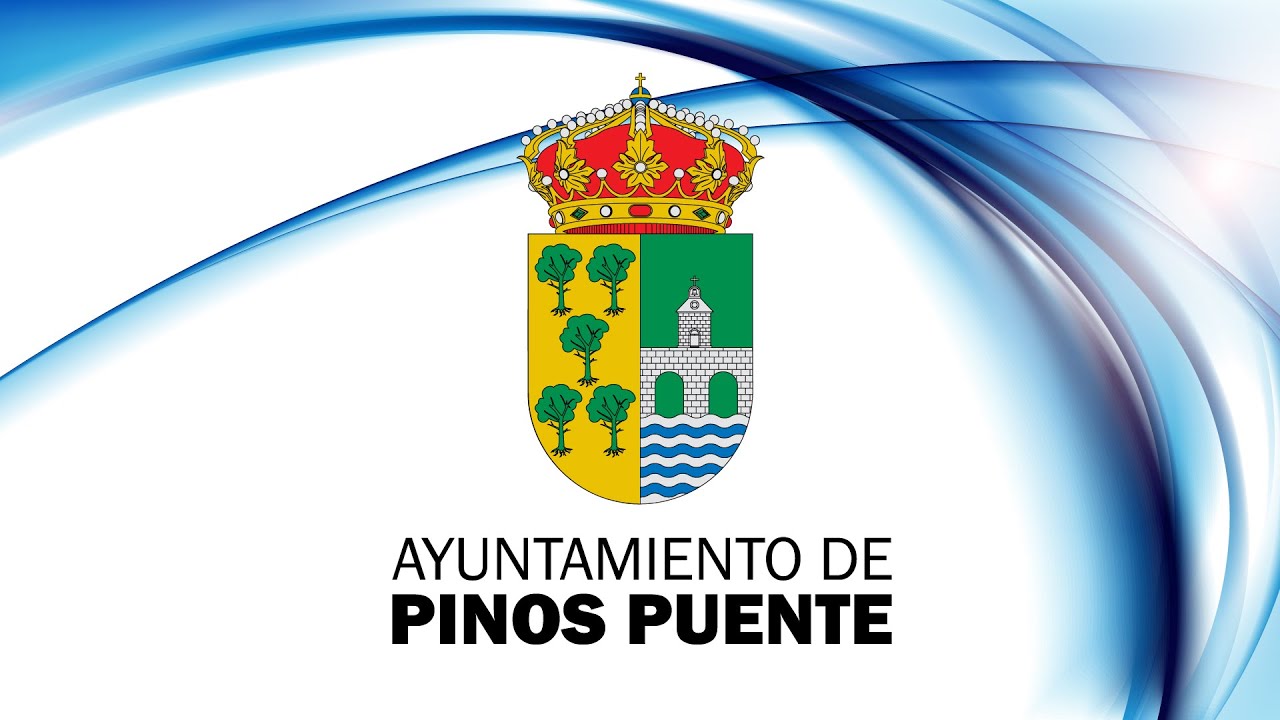 SESIÓN EXTRAORDINARIA DEL PLENO DEL AYUNTAMIENTO DE PINOS PUENTE PLN/2025/13
