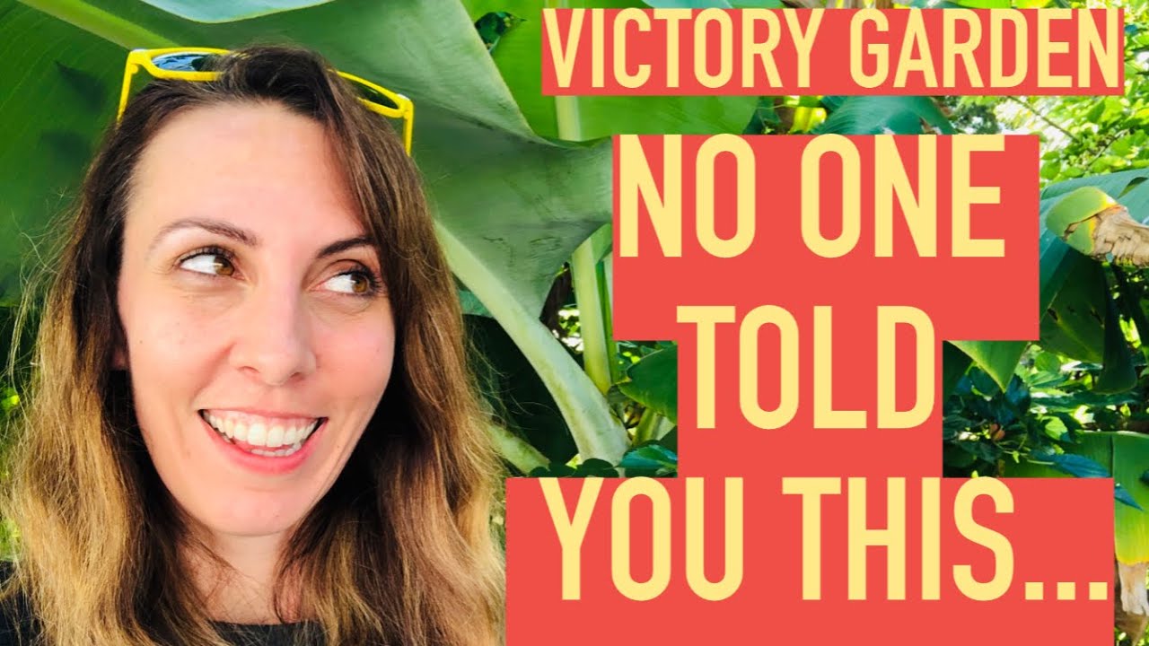 What is a VICTORY GARDEN? Why should you START a VICTORY GARDEN? | VICTORY GARDEN Ep. 1