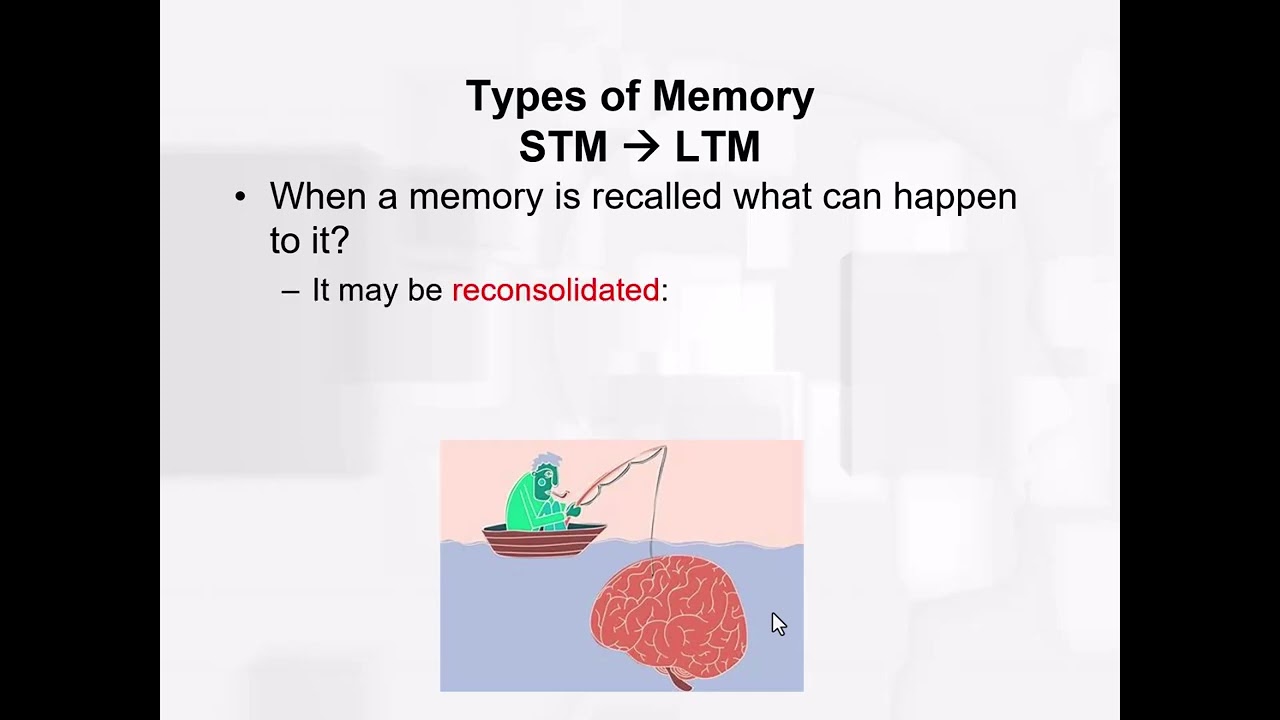 Chapter 10 - STM vs LTM