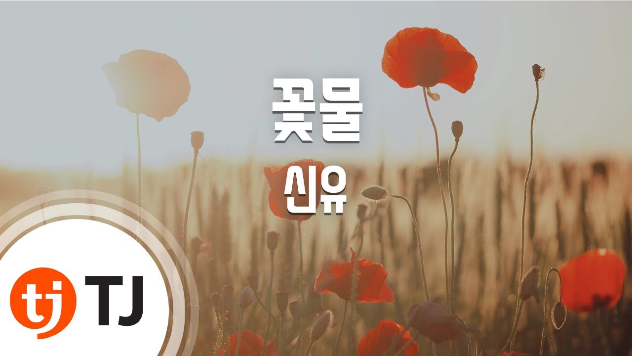 [TJ노래방] 꽃물 - 신유 / TJ Karaoke