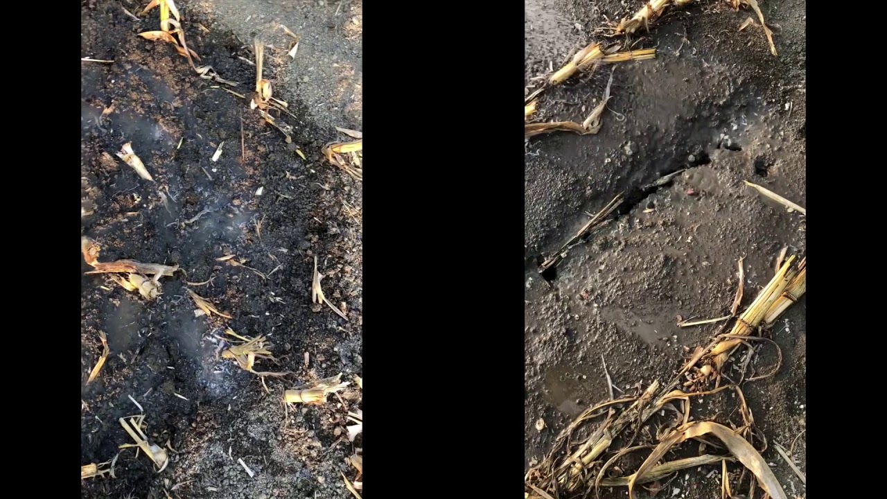 Wasserinfiltration im Acker - gepfl&uuml;gt und pfluglos