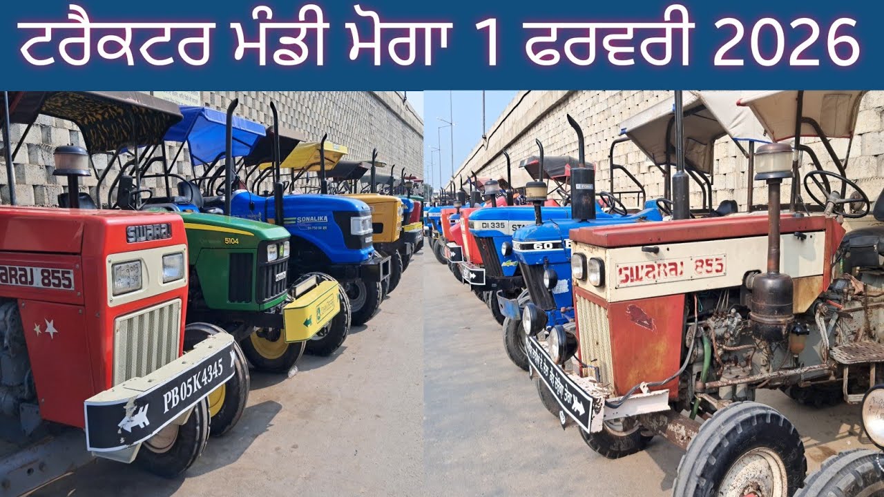 ਟਰੈਕਟਰ ਮੰਡੀ ਮੋਗਾ 1 ਫਰਵਰੀ 2026 !!tractormandimoga @HD_PUNJAB 