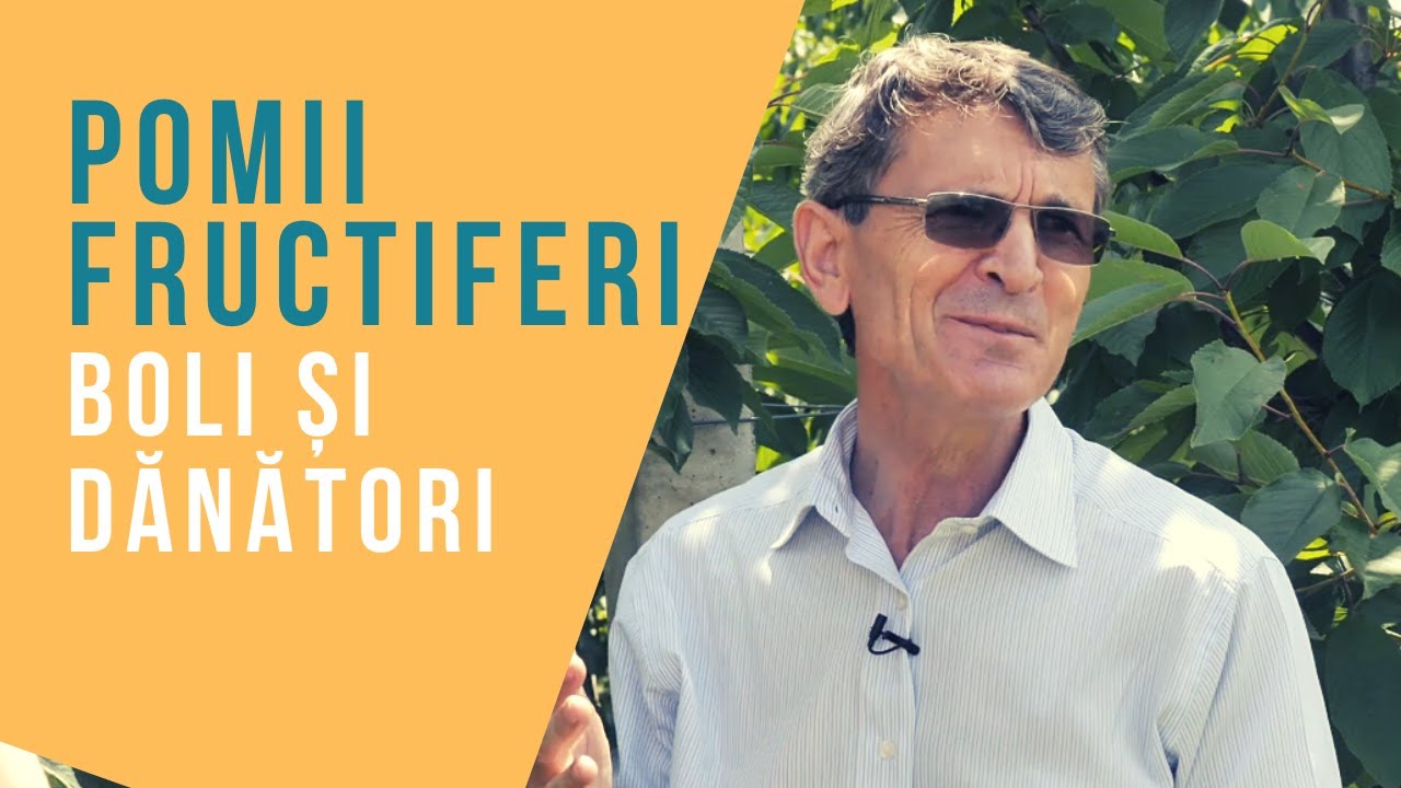 Boli și dănători la pomii fructiferi - vara | VIAȚA ÎN GRĂDINĂ