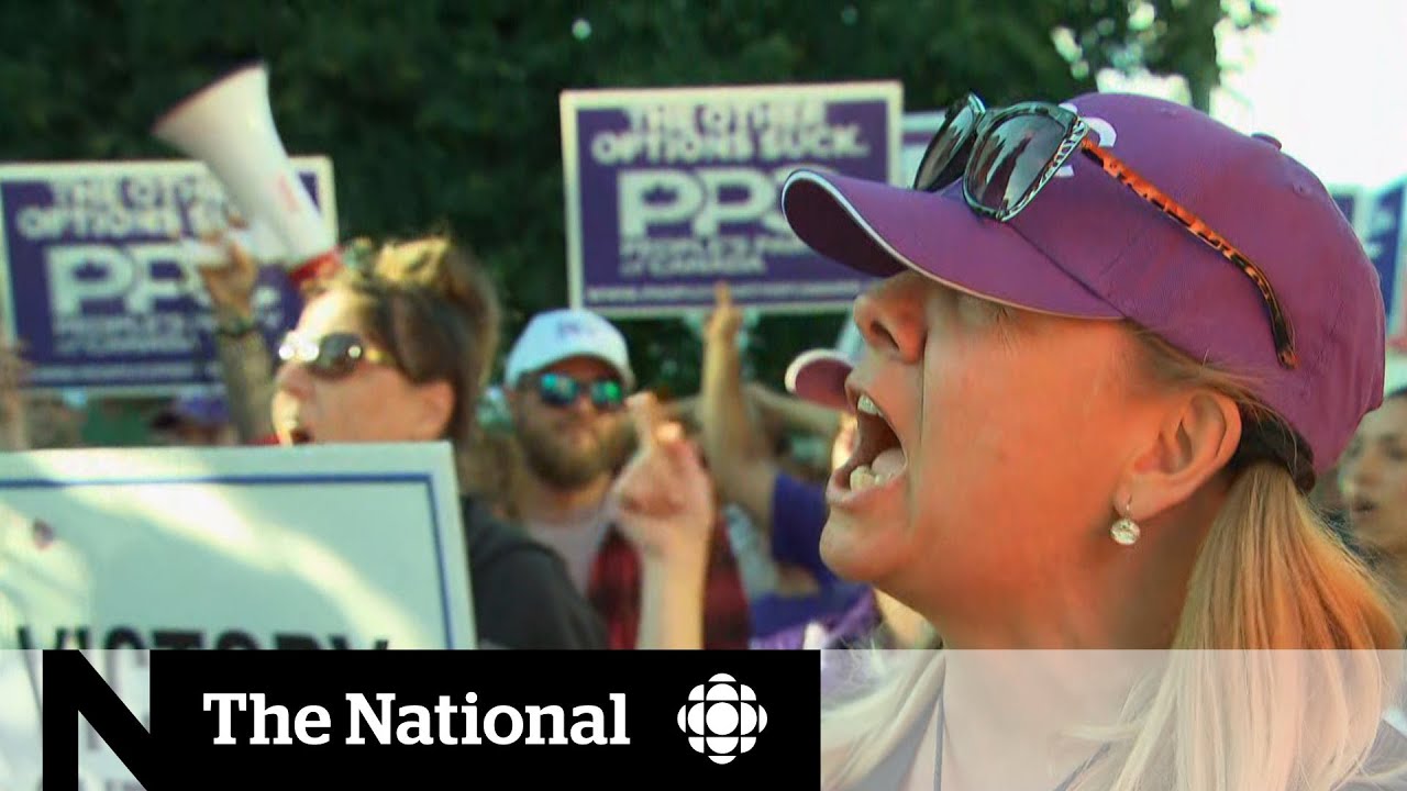 Party leaders condemn violent protests at campaign events