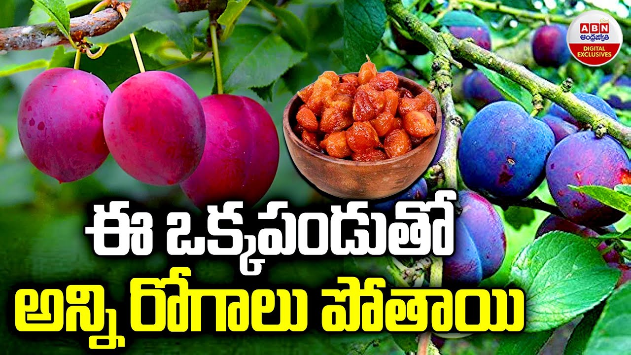 Plums:ఈ ఒక్కపండు తో అన్నిరోగాలు పోతాయి | Amazing Health Benefits of Aloo Bukhara Fruit | ABN Digital
