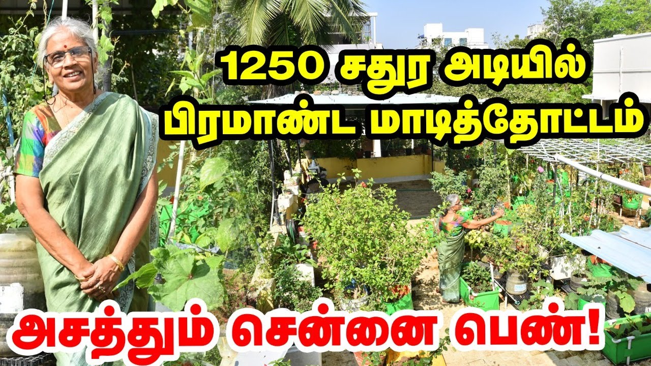 Amazing terrace Garden | அனைத்து காய்கறிகளும் மாடியில்... அசத்தும் Chennai பெண் | #organicfarming