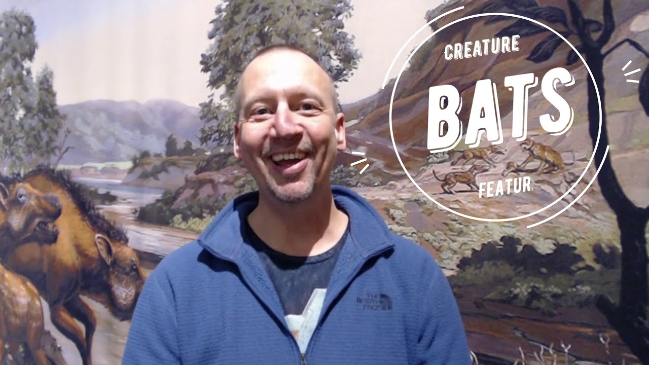 NDGS Paleo Creature Feature: Bat