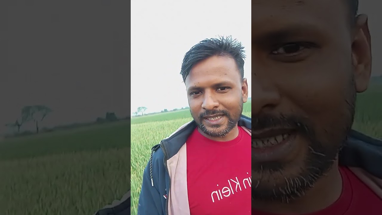 মাঠে রসুন পেঁয়াজ এর আপডেট 