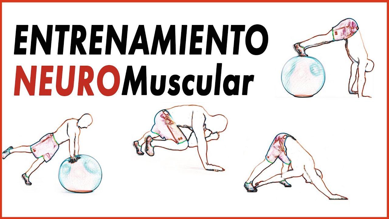 🏋️‍♀️  Entrenamiento NEUROMUSCULAR 👍🏻