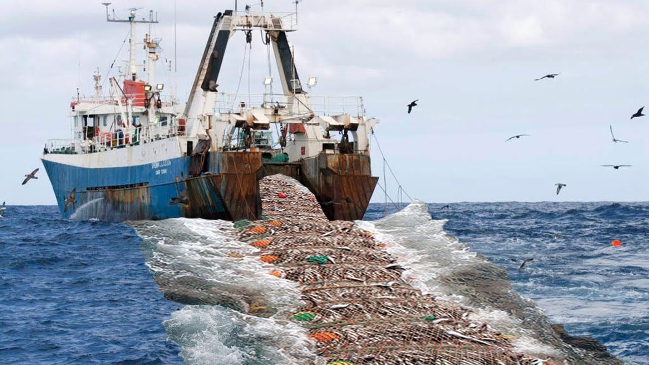 Big Nets fishing, Big Fishing Catching Hundreds Tons Fish on the Boat - Big Fishing Net Video