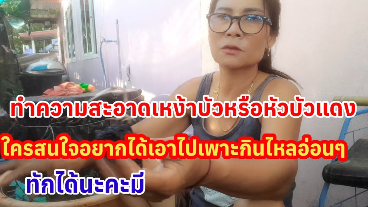 #ใครที่ถามหาบ่อยๆอยากได้หัวบัวถ้าเห็นคลิปนี้สั่งจองได้เลยนะจ๊ะ