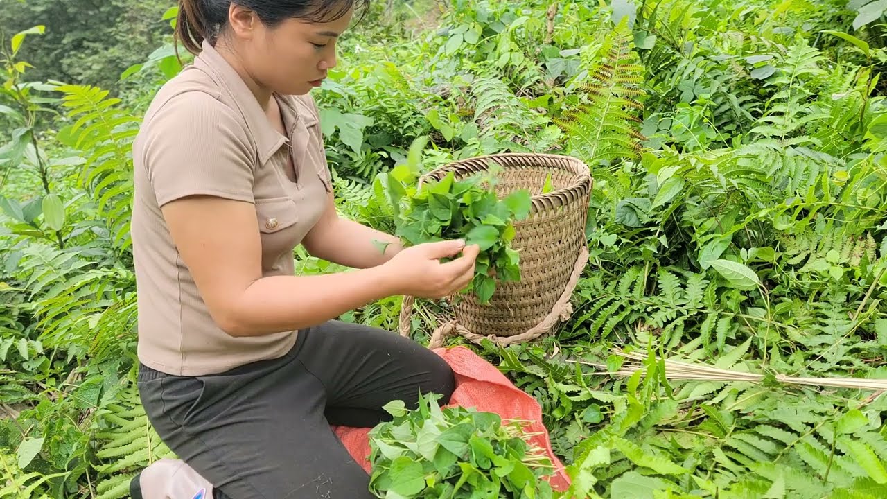 picking vegetables to sell - saving a newborn baby abandoned by his 17-year-old mother