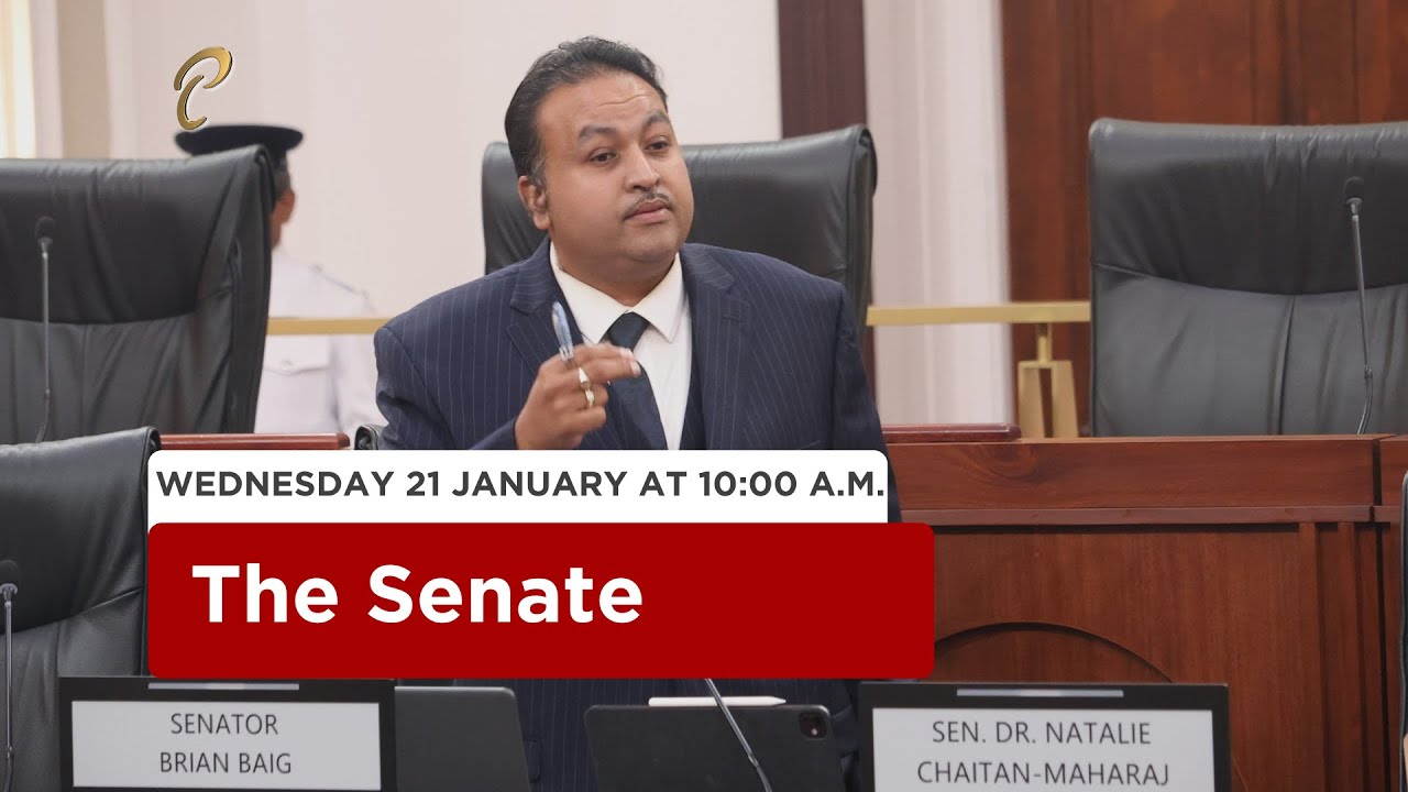 17th Sitting of the Senate - 1st Session - 13th Parliament - January 21, 2026