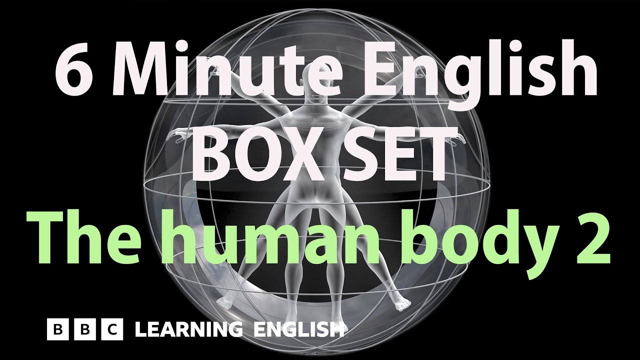 BOX SET: 6 Minute English - 'The human body 2' English mega-class! 30 minutes of new vocab!