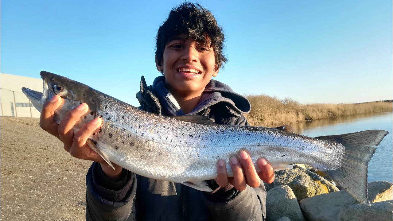 My First Sea Trout!! [Almost Missed]