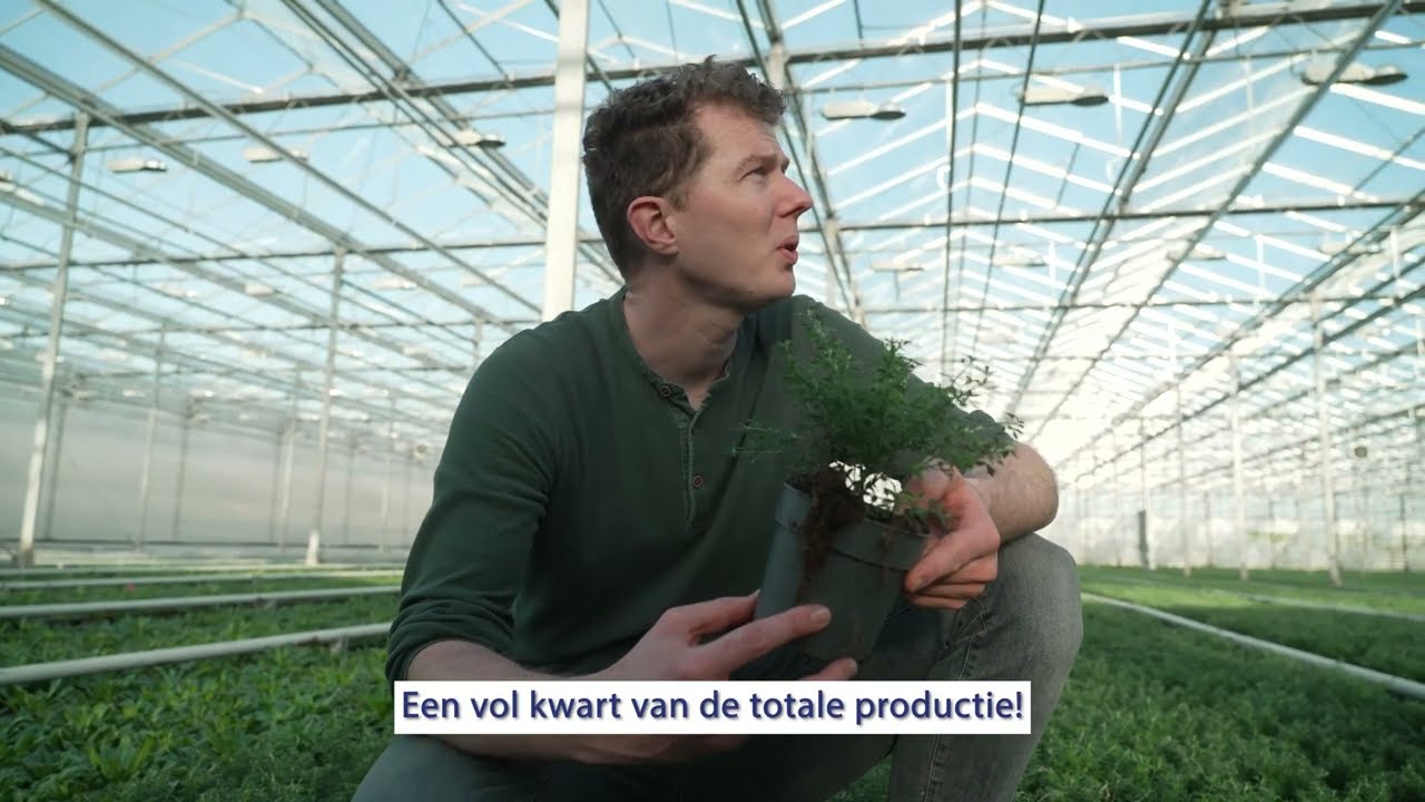 Voor Altanova zoeken wij een Teamleider/assistent bedrijfsleider &ndash; meewerkend