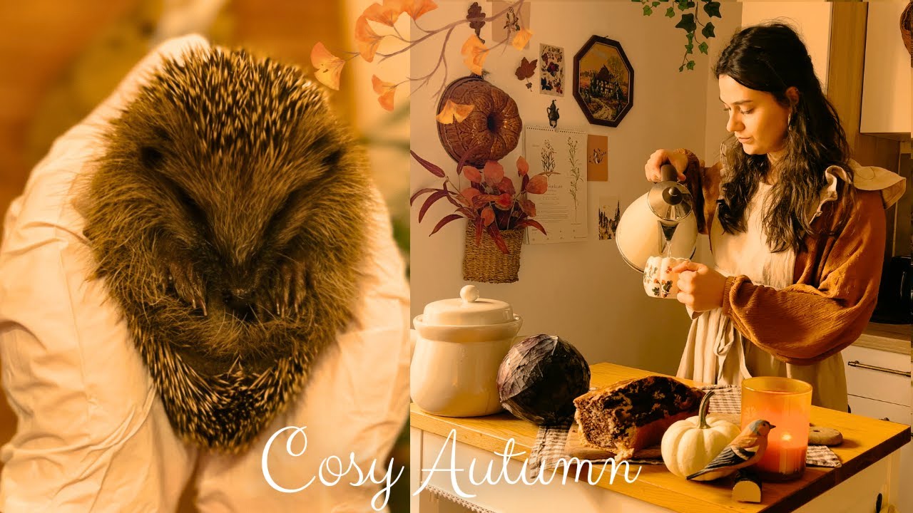 Cosy & quiet autumn days in the countryside🍁🦔| hedgehog care, sauerkraut | slow living silent vlog