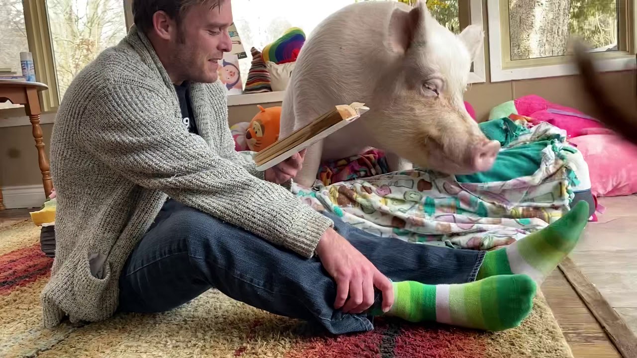 Chapter 1, Esther the Wonder Pig, Changing the World One Heart at a Time.