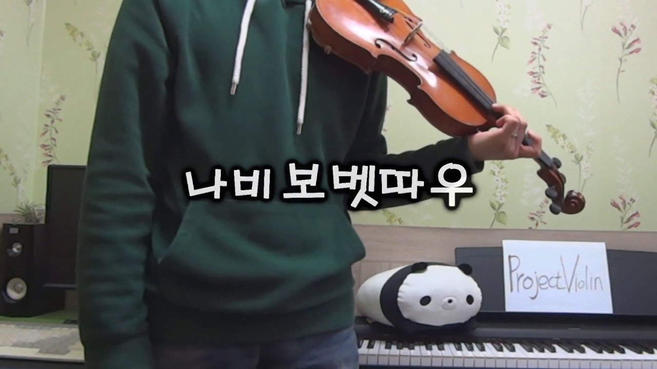 [Project Violin] 모여봐요 동물의 숲 - 나비보벳따우 violin cover