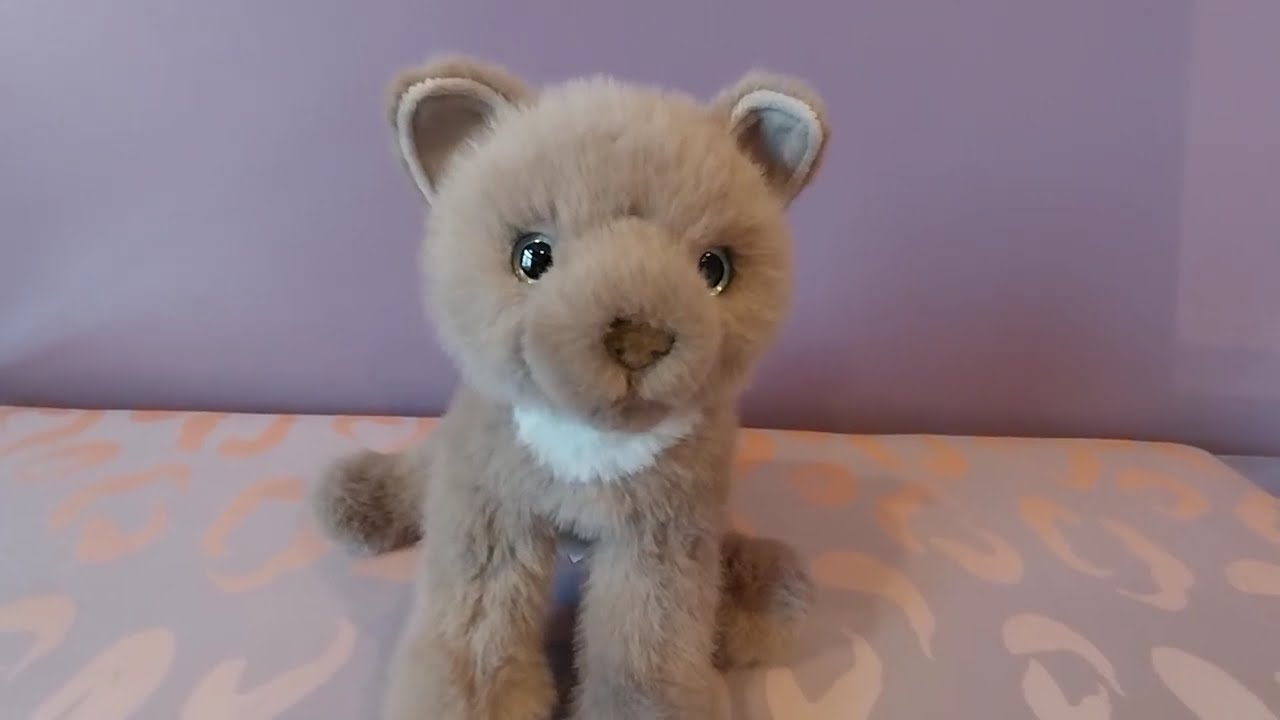 Reviewing Kneadie the Soft Gray Cat by Douglas Cuddle Toys 🩶