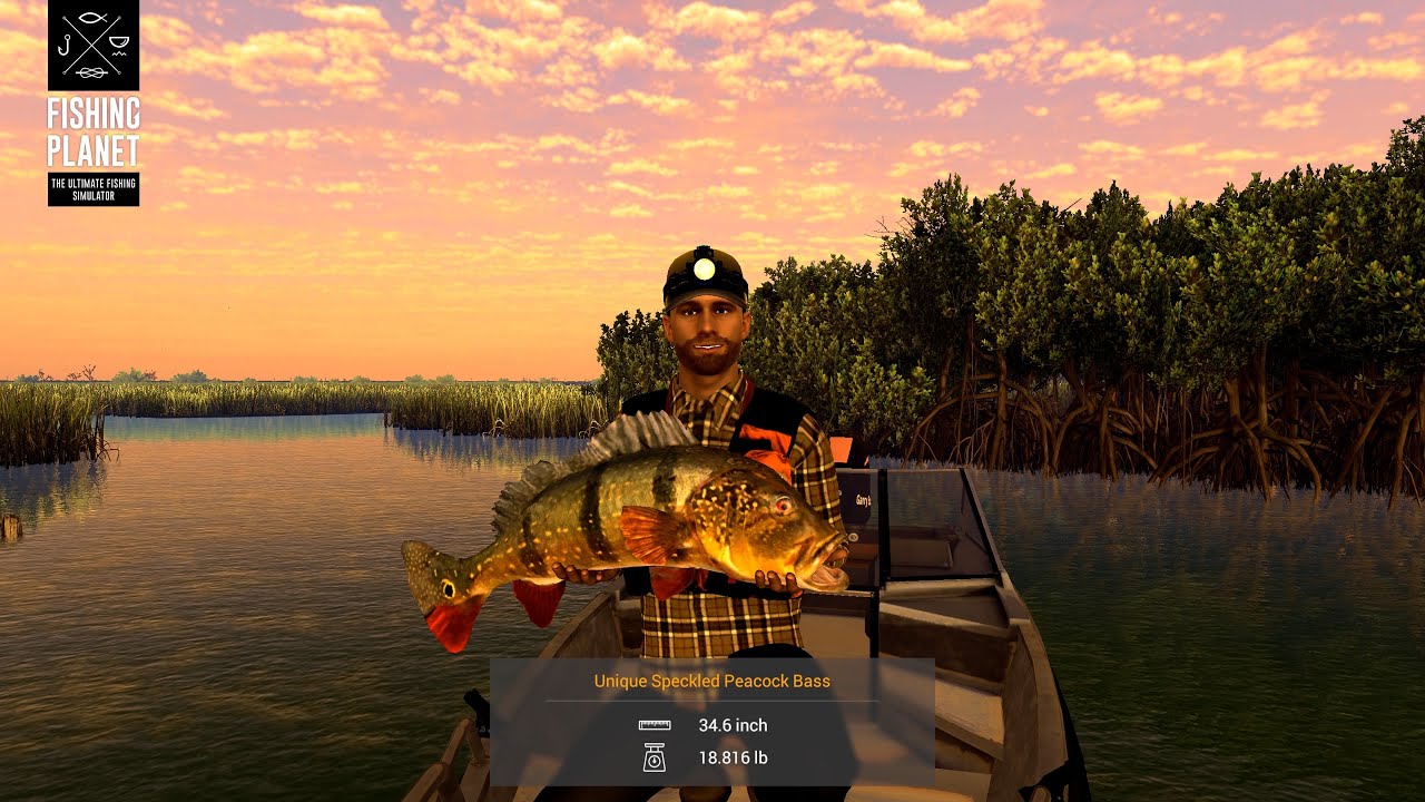 🔴 Fishing Planet 2026 - Early Morning Going Fishing But Where We Heading - Grind To 8k Subs