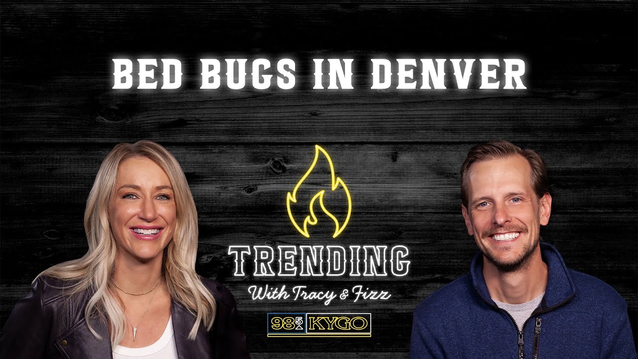 Bed bugs in Denver | Trending