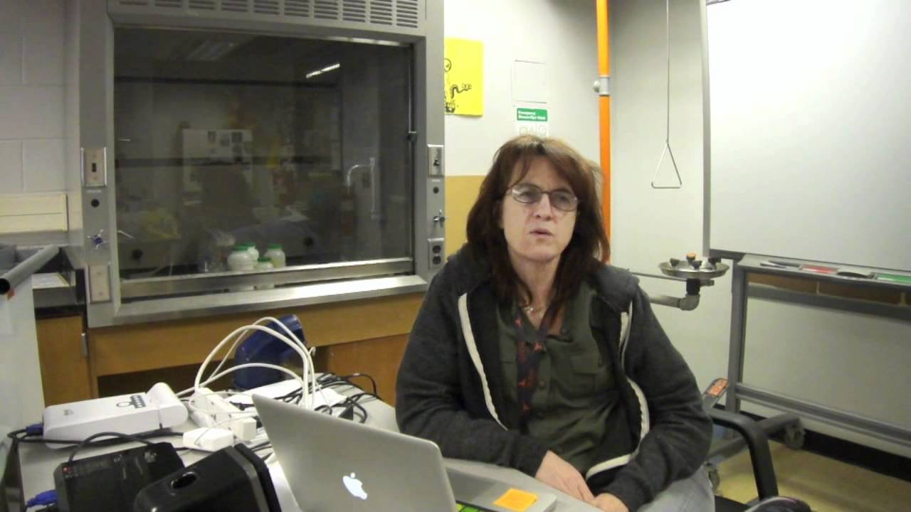 Function Anchor Video (PM)