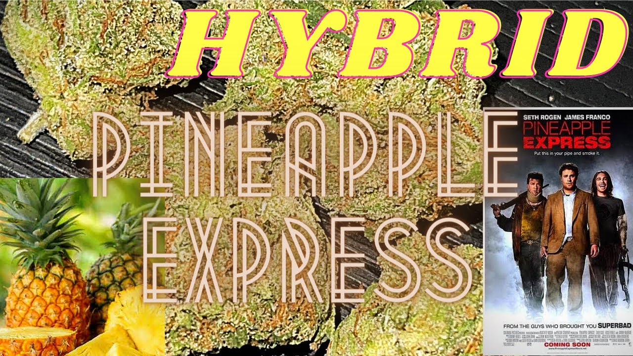 Pineapple Express review  (28% THC)