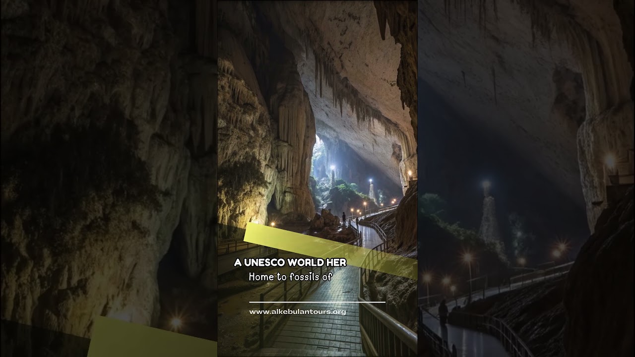 Cradle of Humankind: The Secrets of Our Origins Finally Revealed 