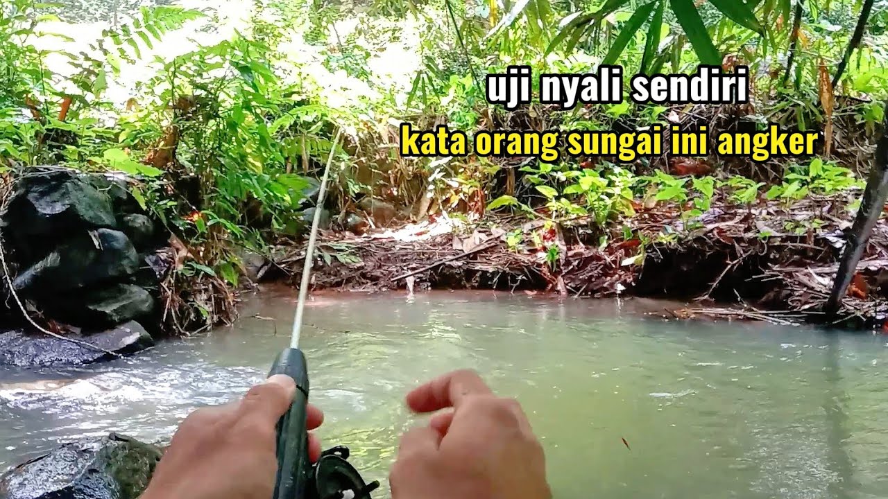 SOLO FISHING‼️MANCING DISUNGAI KECIL PAKE JORAN FIBER EMANG MANTULL