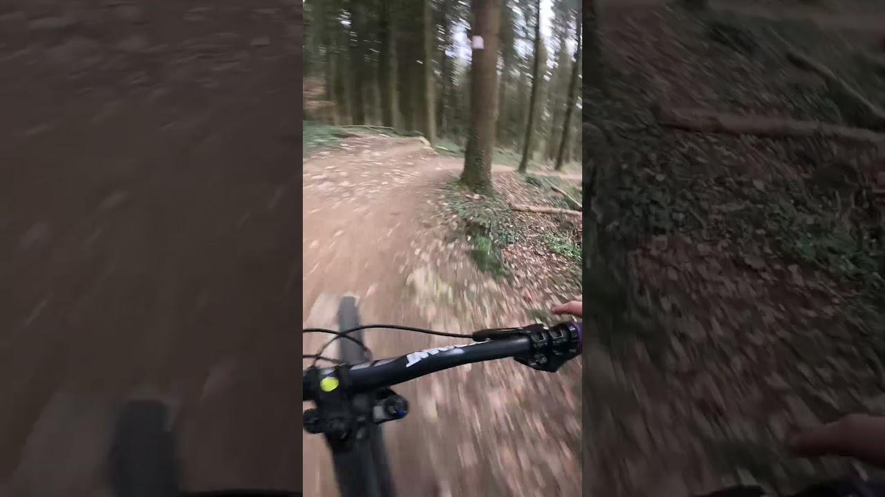 DH Trail aber mit Flow   l  Biel Trail