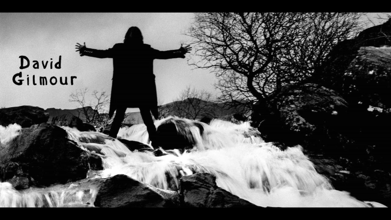 BLACK CAT - David Gilmour (Backing Track for Guitar)