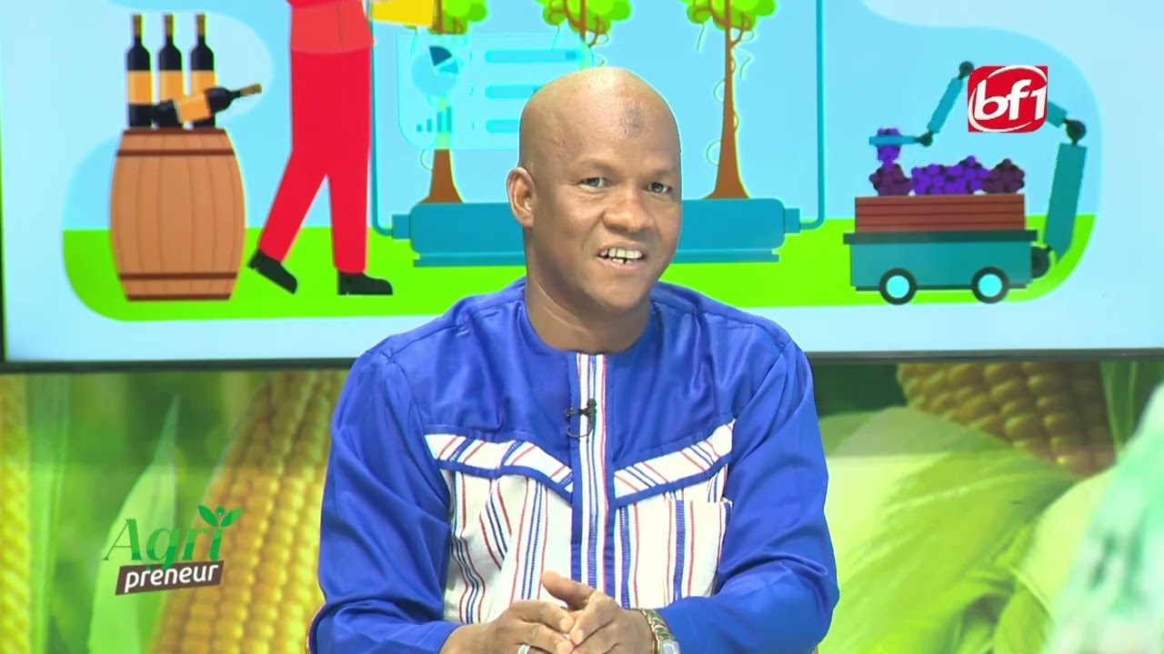 AgriPreneur : TEEK SONGO, UNE VARI&Eacute;T&Eacute; DE NIEBE A DOUBLE USAGE