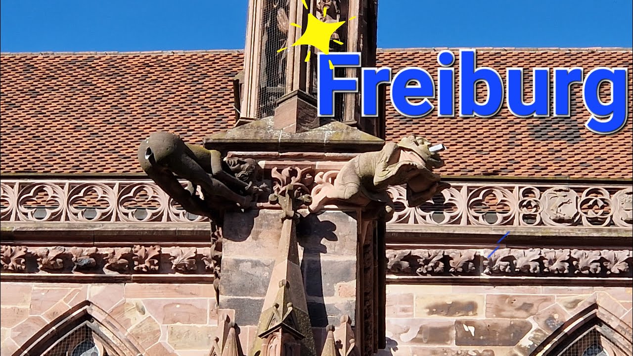 Freiburg: A City of Students, Bikes, and Bubbling Brooks.