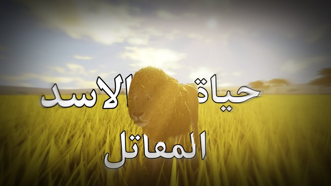 حياة الاسد في wild Savannah roblox الحقووووووو🔴😍