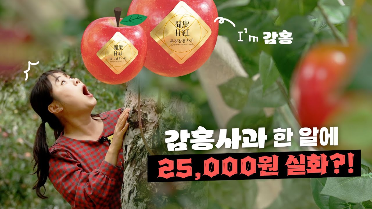 표나리와 함께하는 2024문경사과축제