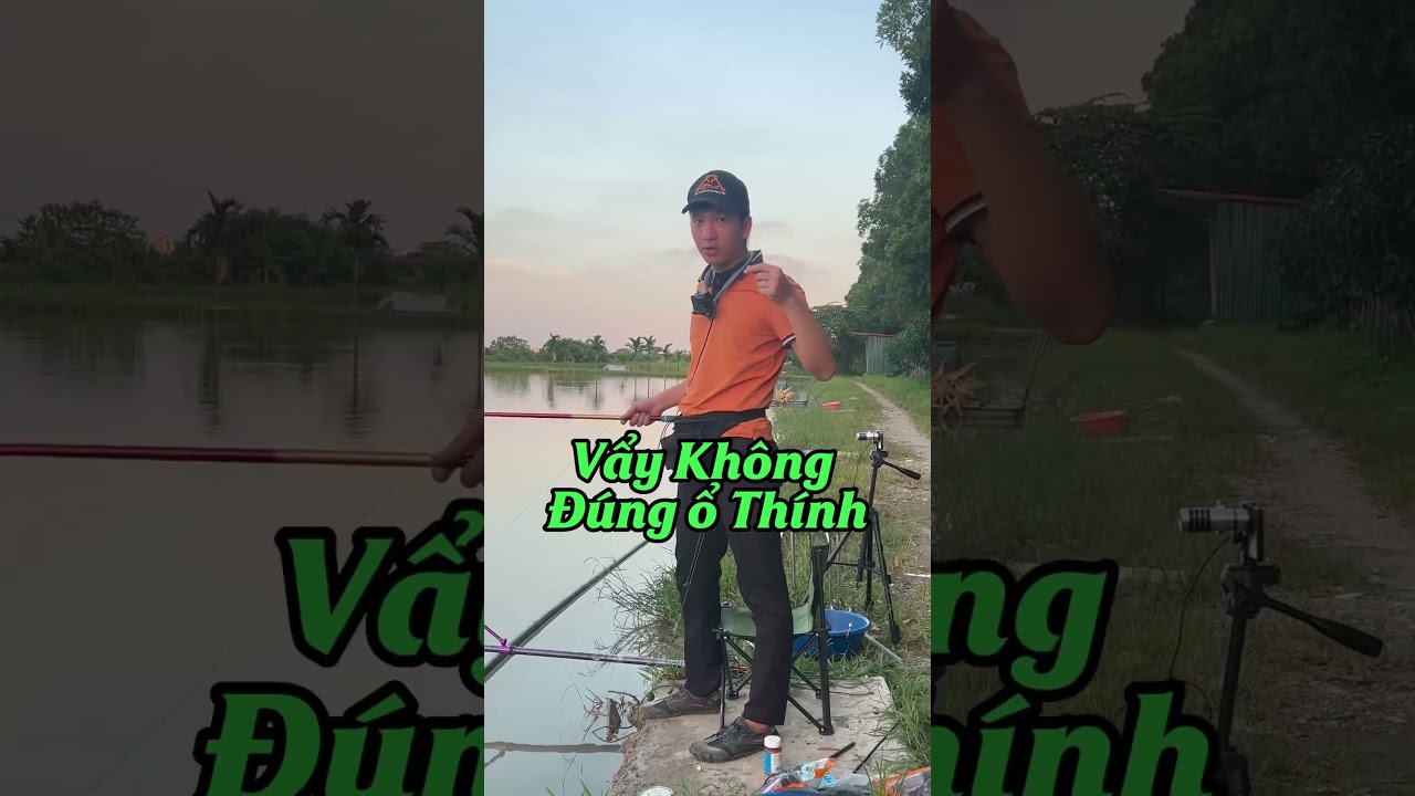C&acirc;u c&aacute; trắm đen bằng c&aacute;ch c&acirc;u hố đấu như thế n&agrave;o - c&aacute;ch vẩy mồi c&acirc;u hố đấu #caucaedu #cauca