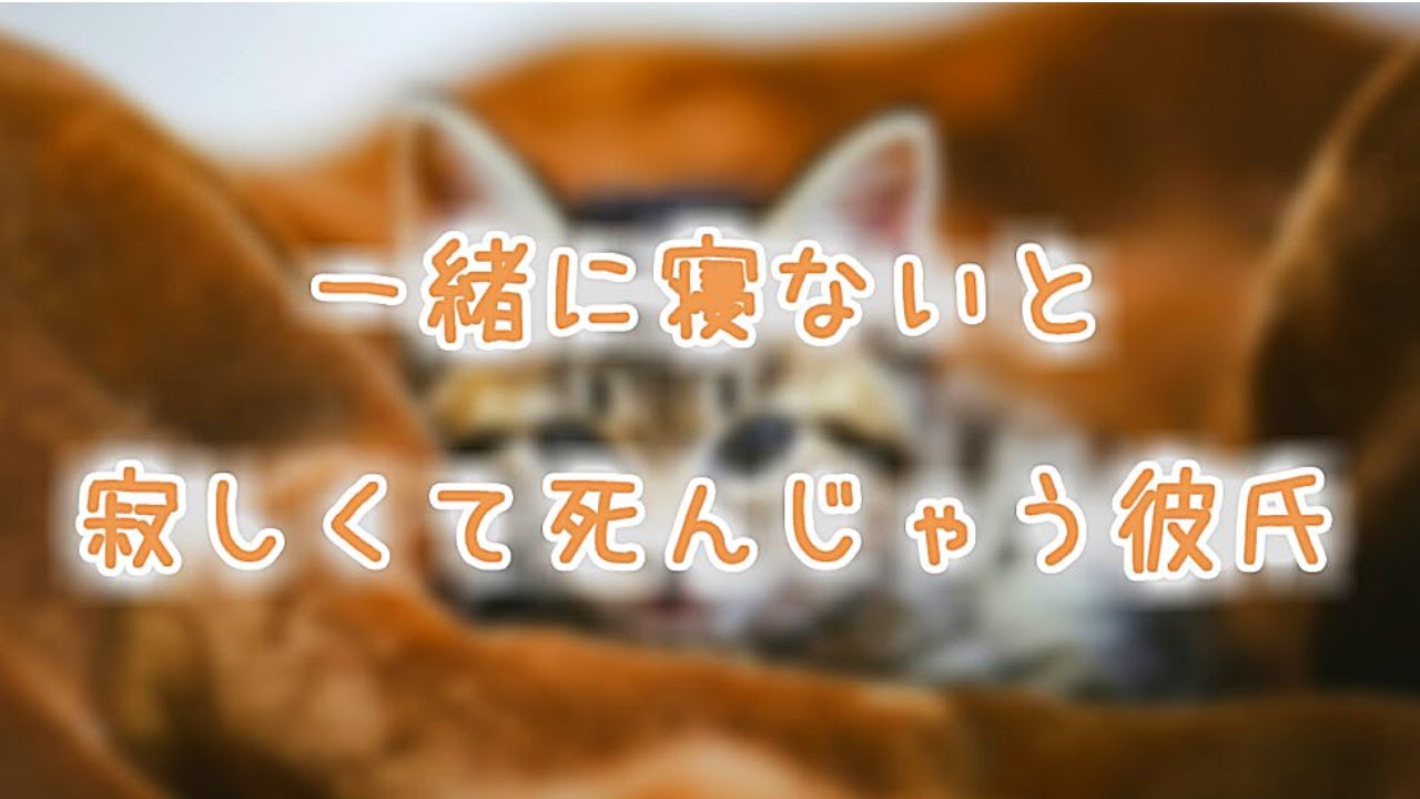 【女性向け】怒り方が可愛くて余計にいじわるされる犬系彼氏《シチュエーションボイス》