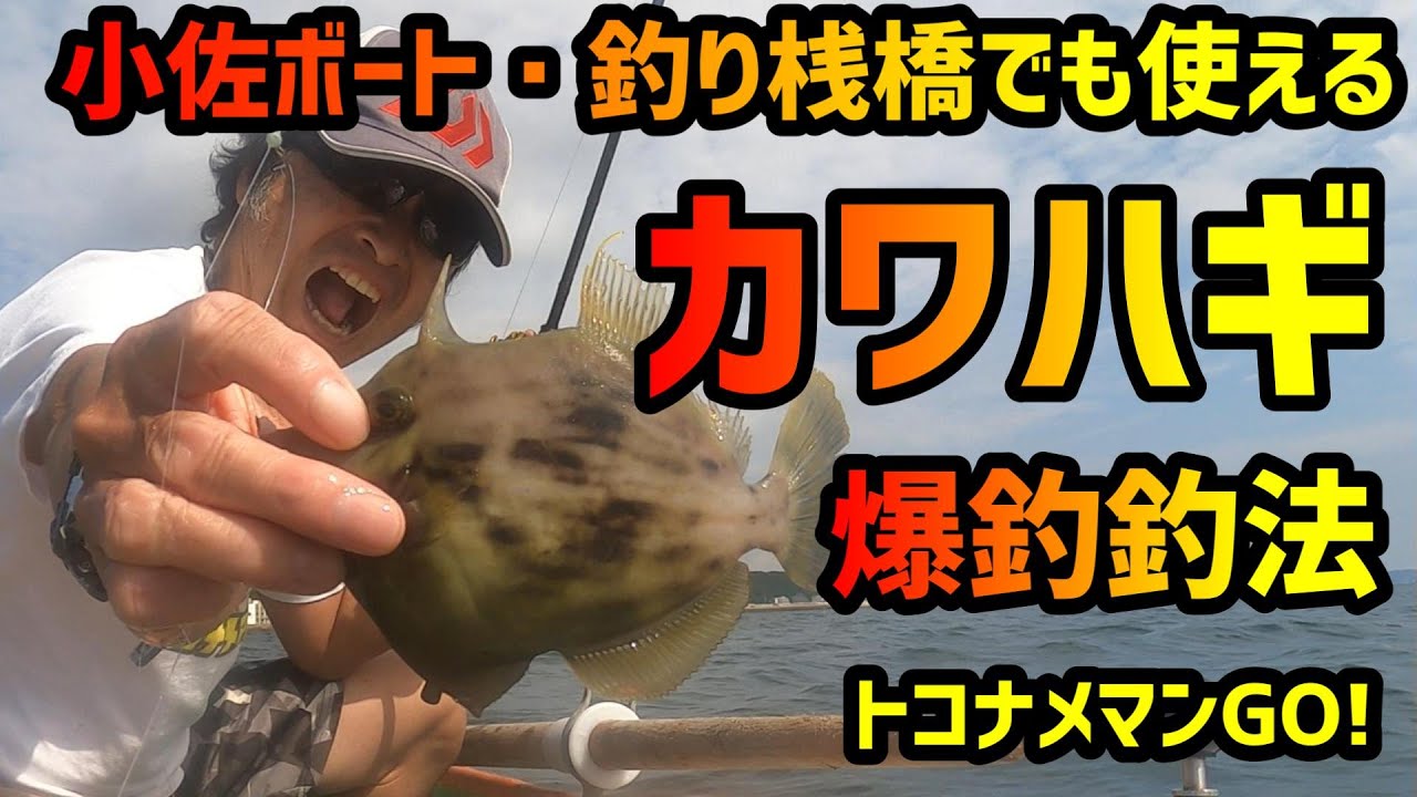 2025　愛知カワハギ釣り　小佐ボート・釣り桟橋でも使える爆釣釣法！