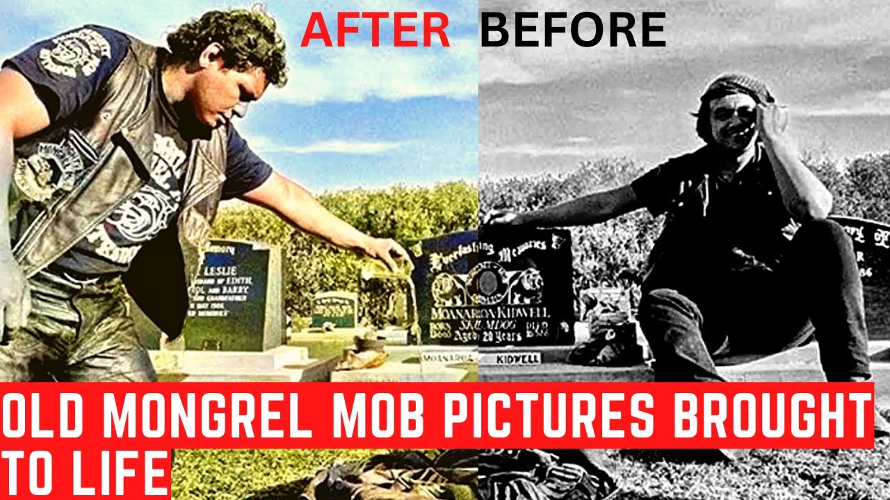 Old Mongrel Mob Pictures now Colored | SFH