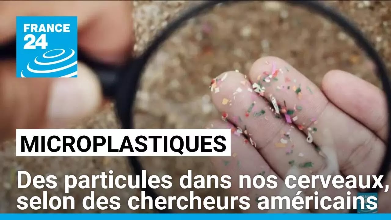 Des microplastiques se trouvent dans nos cerveaux, selon des chercheurs am&eacute;ricains &bull; FRANCE 24