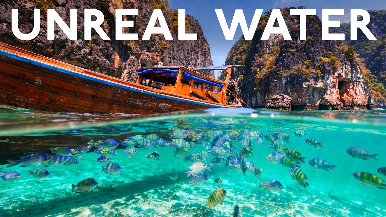 Snorkeling Koh Phi Phi's Crystal Clear Waters