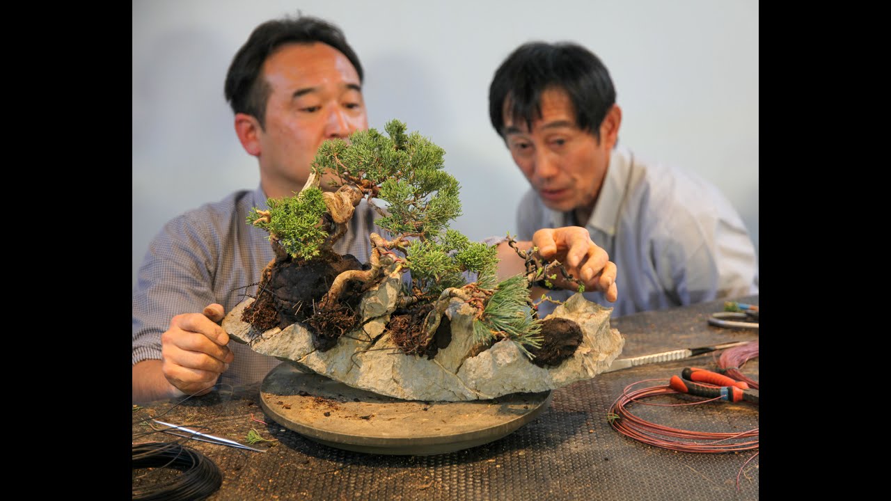 5° Shohin Bonsai Festival demo Hiroki Miura e Kiyokuni Shitamukai
